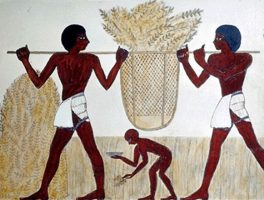 Egipto y los comedores de pan